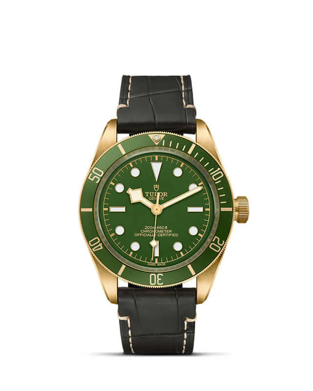 Tudor Black Bay Fifty-Eight 18K