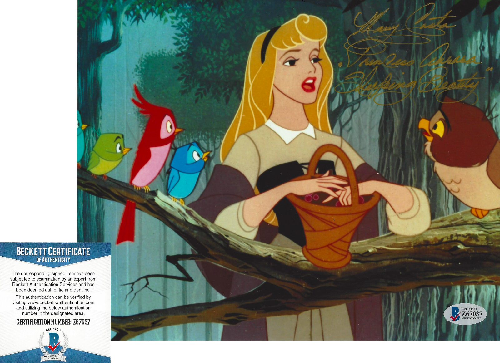 MARY COSTA SIGNED DISNEY SLEEPING BEAUTY 8x10 MOVIE Photo Poster painting D 1959 BECKETT COA BAS