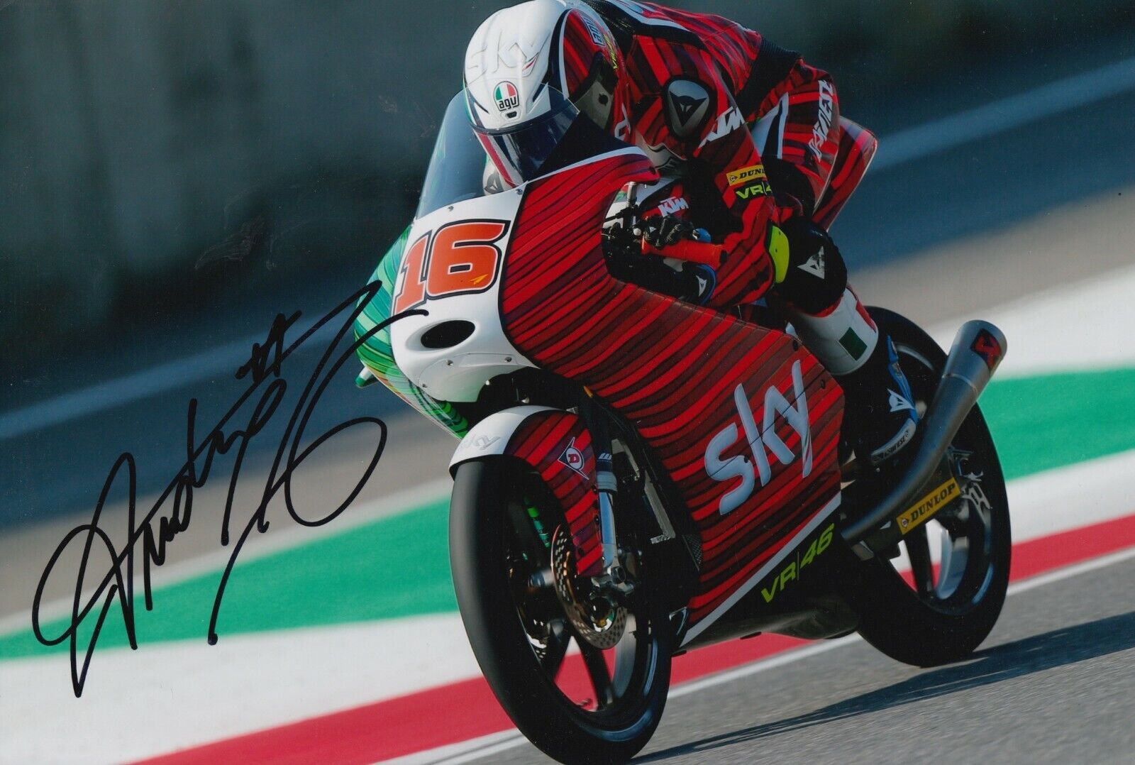 Andrea Migno Hand Signed 12x8 Photo Poster painting - SKY Racing Team VR46 Moto3 - MotoGP.