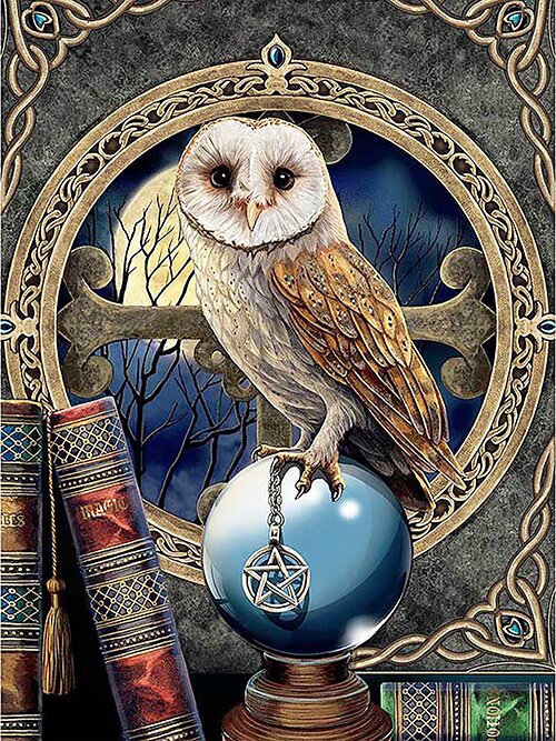 Diamond Painting-5D Full Round Drill Harry Potter Owl