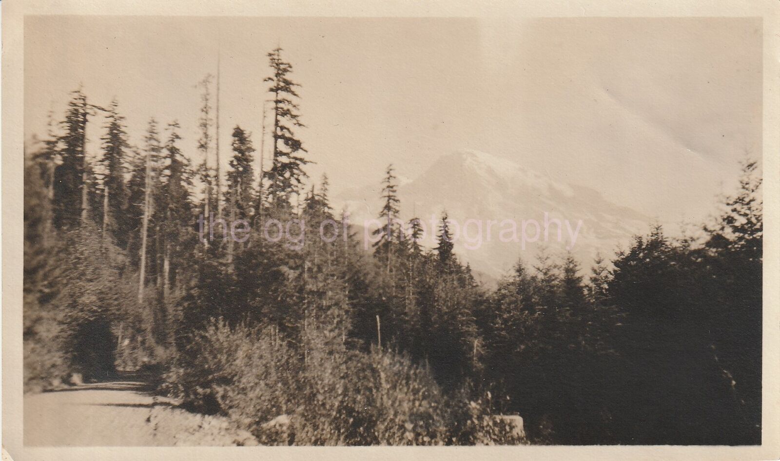 WILDERNESS ROAD Vintage FOUND Photo Poster painting bwOriginal Snapshot 810 5 B