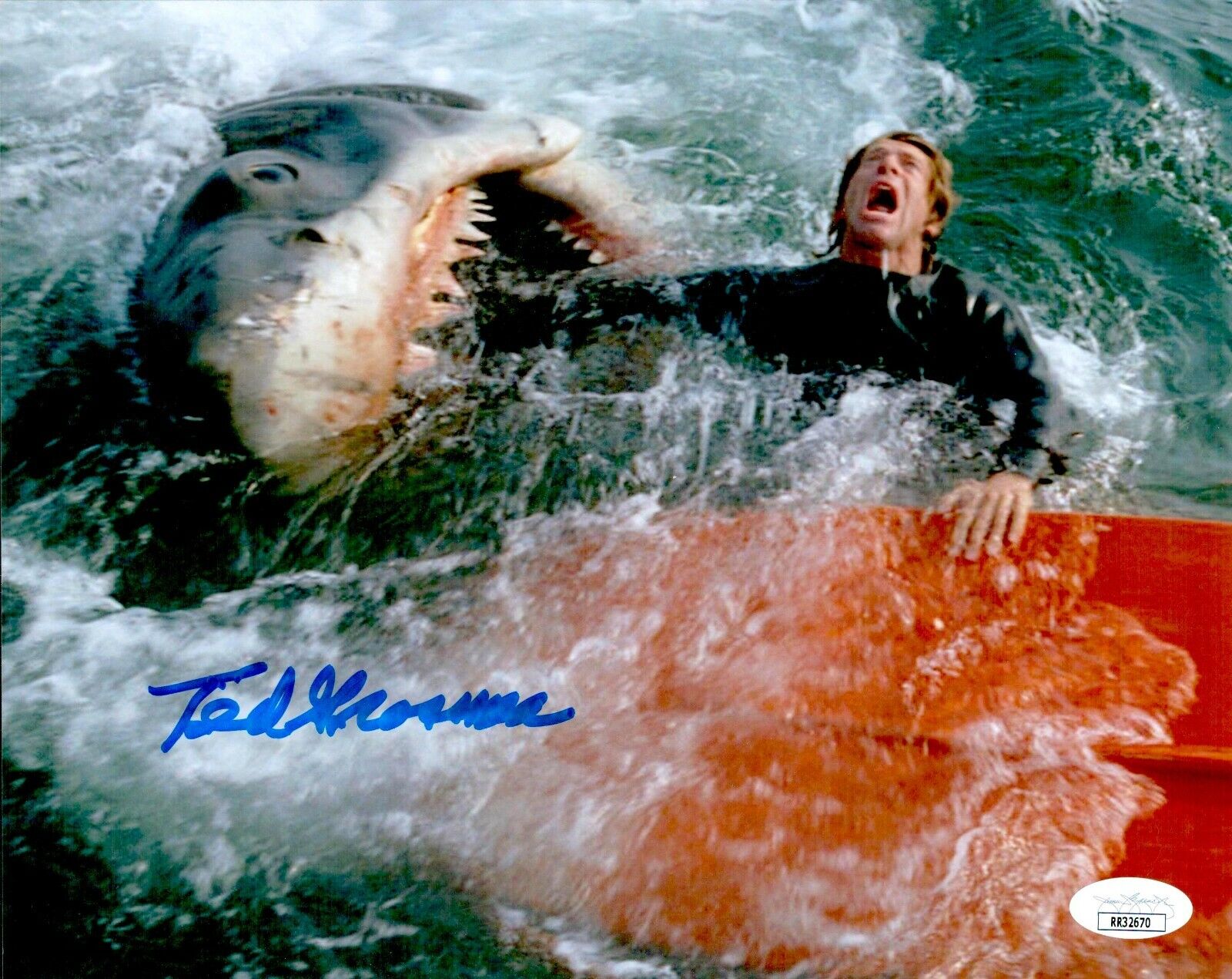 TED GROSSMAN Signed 8x10 Photo Poster painting JAWS GOONIES In-Person Autograph JSA COA Cert