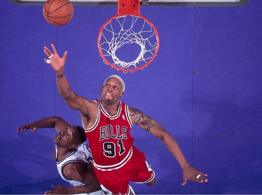 DENNIS RODMAN Rebound 1996 CHICAGO BULLS Full Color 11x14 Matte Photo Poster painting Photo Poster paintinggraph