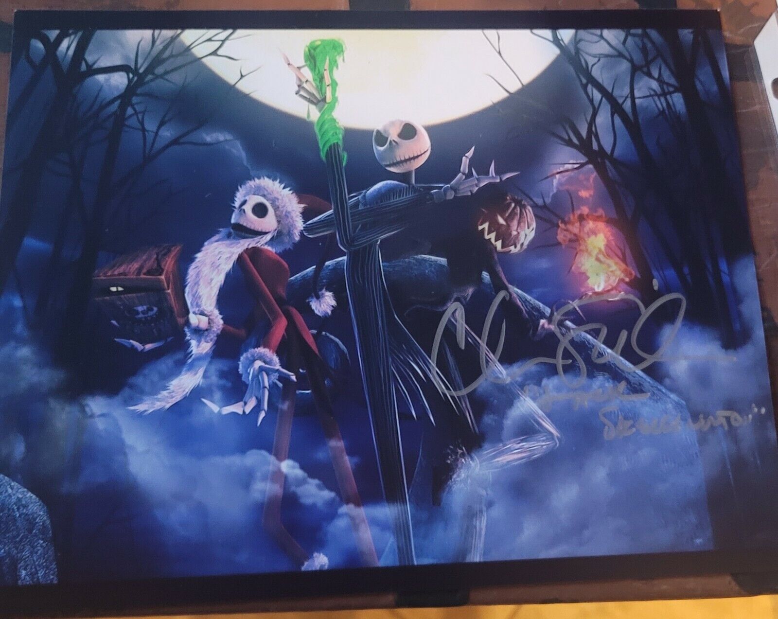 Chris Sarandon (The Nightmare Before Christmas) signed 8x10 Photo Poster painting