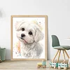 Maltese Dog-11CT Stamped Cross Stitch 40*50cm/15.75*19.69in tapestrymarket