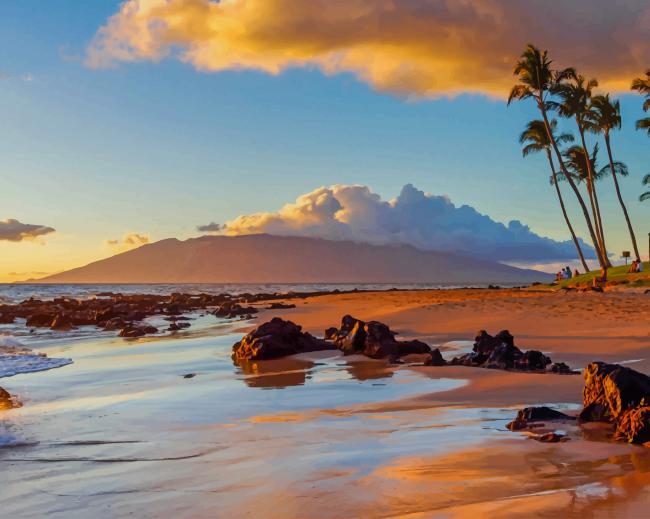 

Hawaii Island – Paint By Numbers - 40*50CM, 501 Original