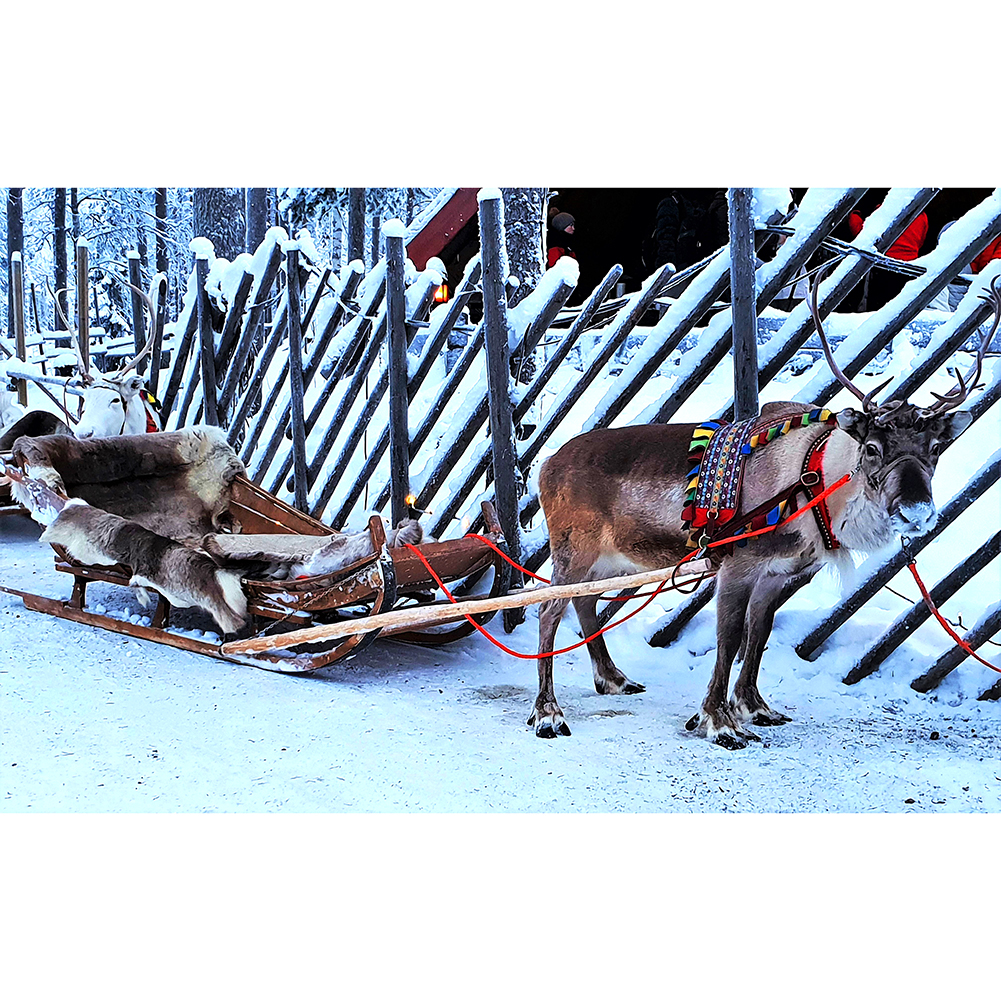 

Snowfield Deer - 1000 Pieces Jigsaw Puzzle, 501 Original
