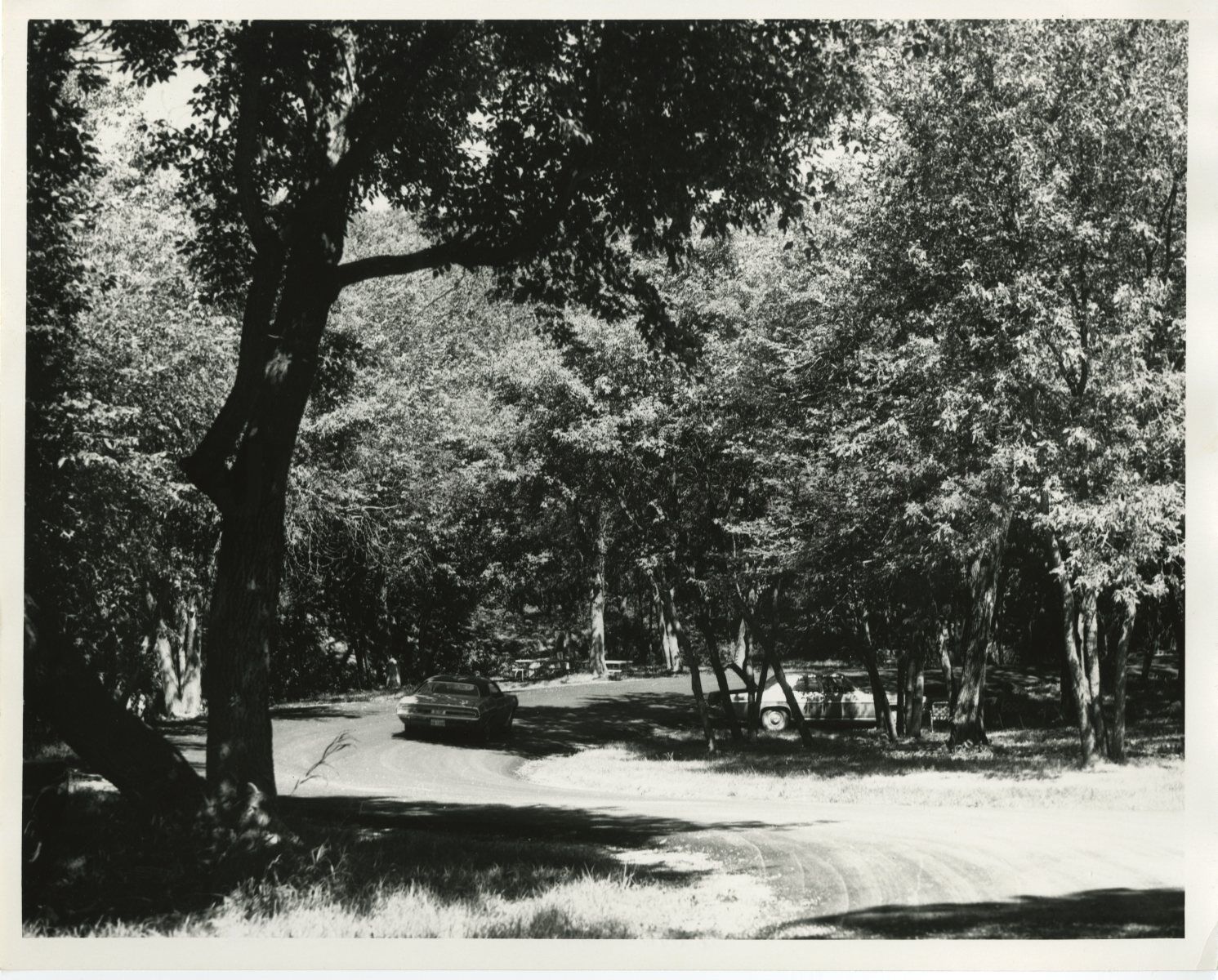 South Dakota History - Vintage 8x10 Publication Photo Poster painting - Sica Hollow State Park