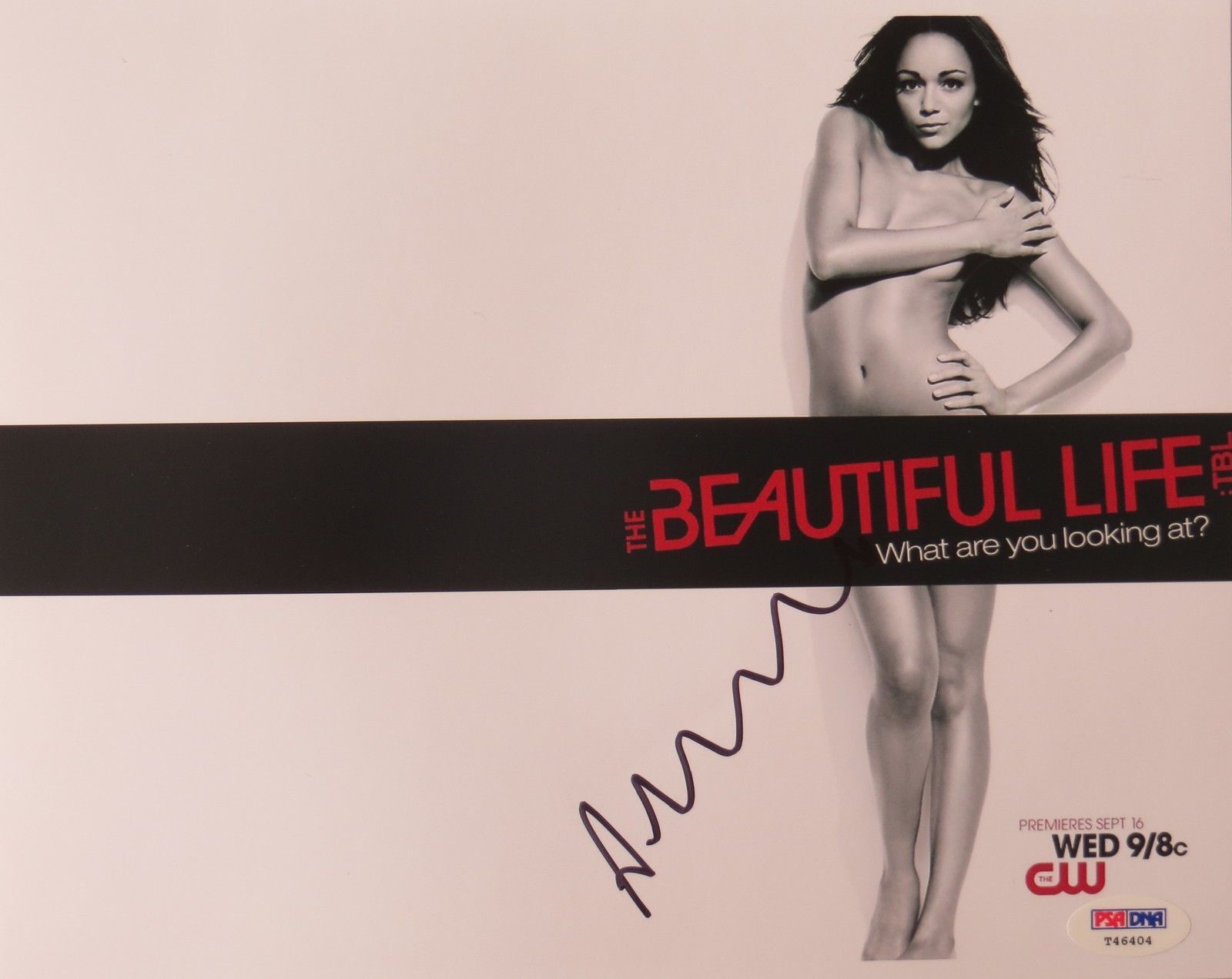 Ashley Madekwe Signed The Beautiful Life Autographed 8x10 Photo Poster painting (PSA/DNA) #T4640