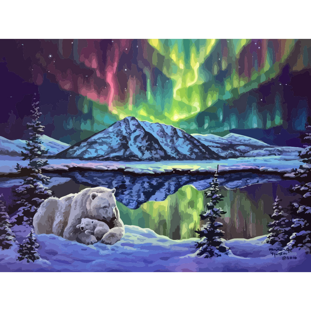 

40*50cm - Painting By Numbers - Bear Aurora, 501 Original