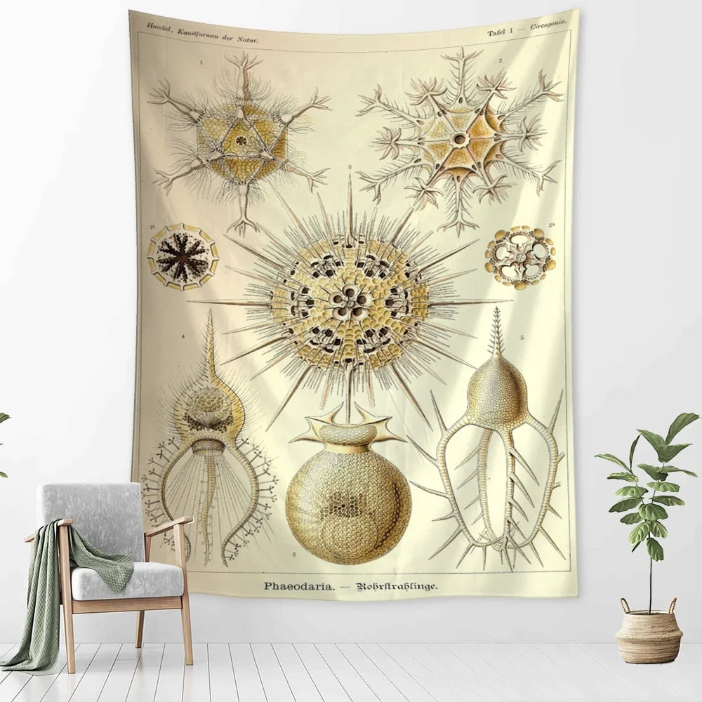 Starfish Conch Tarot Tapestry Wall Hanging Psychedelic Witchcraft Abstract Illustration Room Bedroom Home Decor