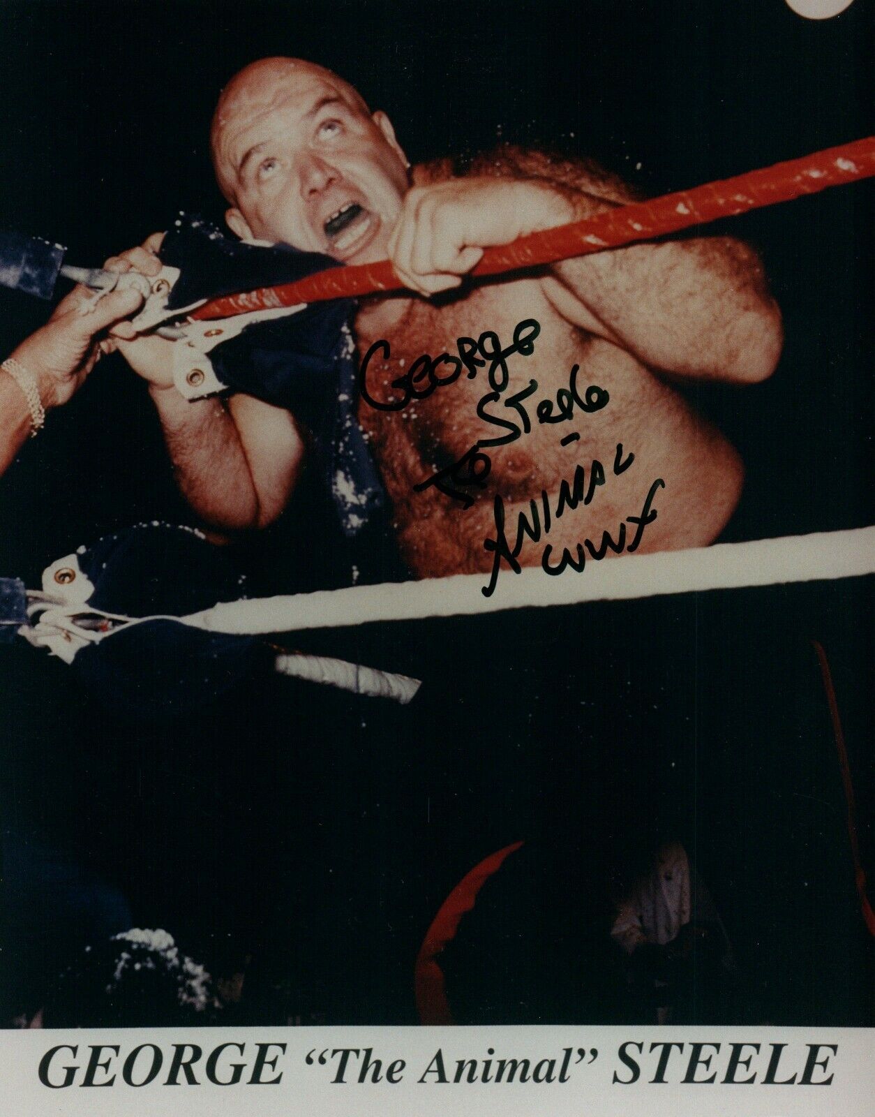 George The Animal Steele Pro Wrestler Hand Signed Autograph 8x10 Photo Poster painting