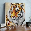Framed Diamond Painting - Special Shaped - Tiger(25x25cm)