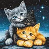 Magic Cat-11CT Stamped Cross Stitch 40*40cm tapestrymarket