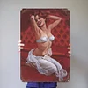 Sensual Lingerie Woman - Vintage Metal Signs(12*16Inch)-Pin-up-girls