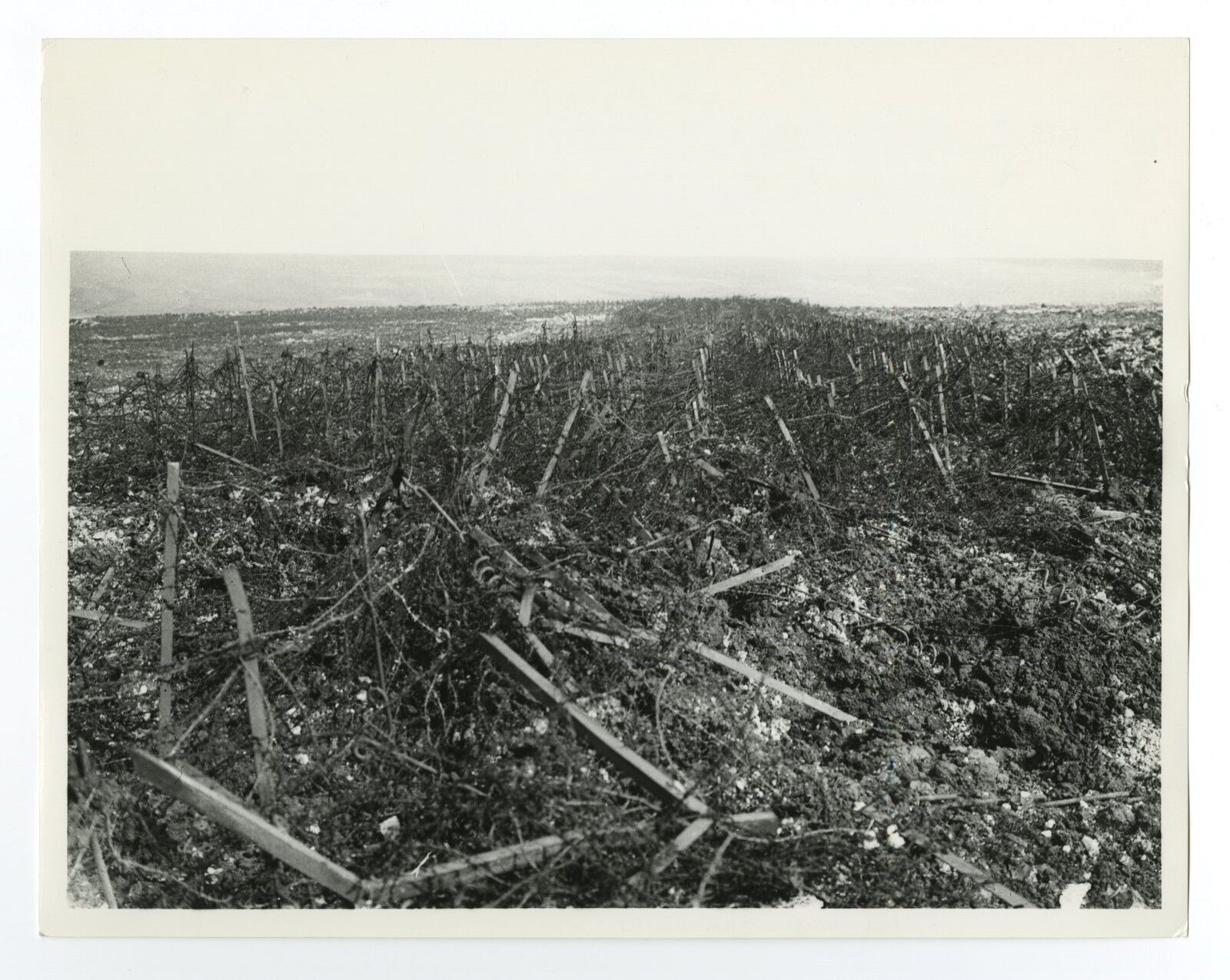 World War I - Vintage 8x10 Publication Photo Poster paintinggraph - Battle of Arras