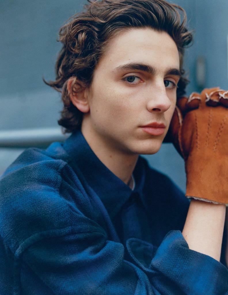 Timothee Chalamet 8x10 Picture Simply Stunning Photo Poster painting Gorgeous Celebrity #29