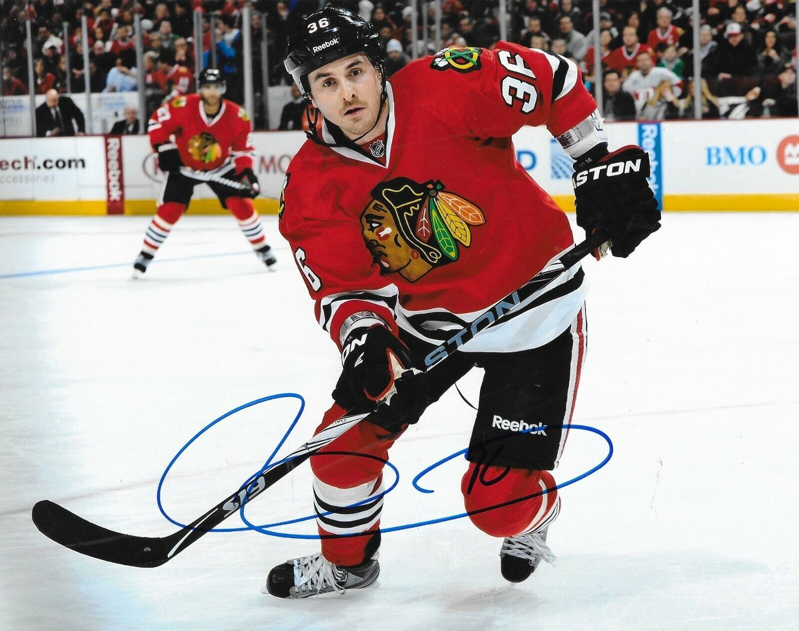 Dave Bolland signed Chicago Blackhawks 8x10 Photo Poster painting autographed Hawks 3