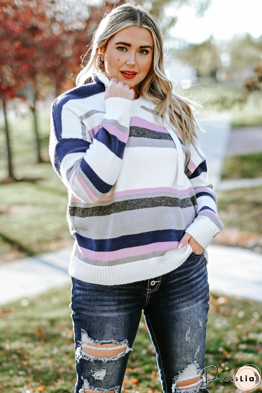 Plus Size Striped Hooded Knit Sweater