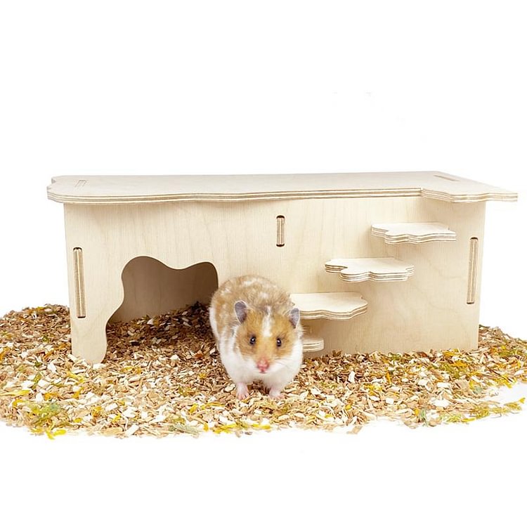 syrian hamster house