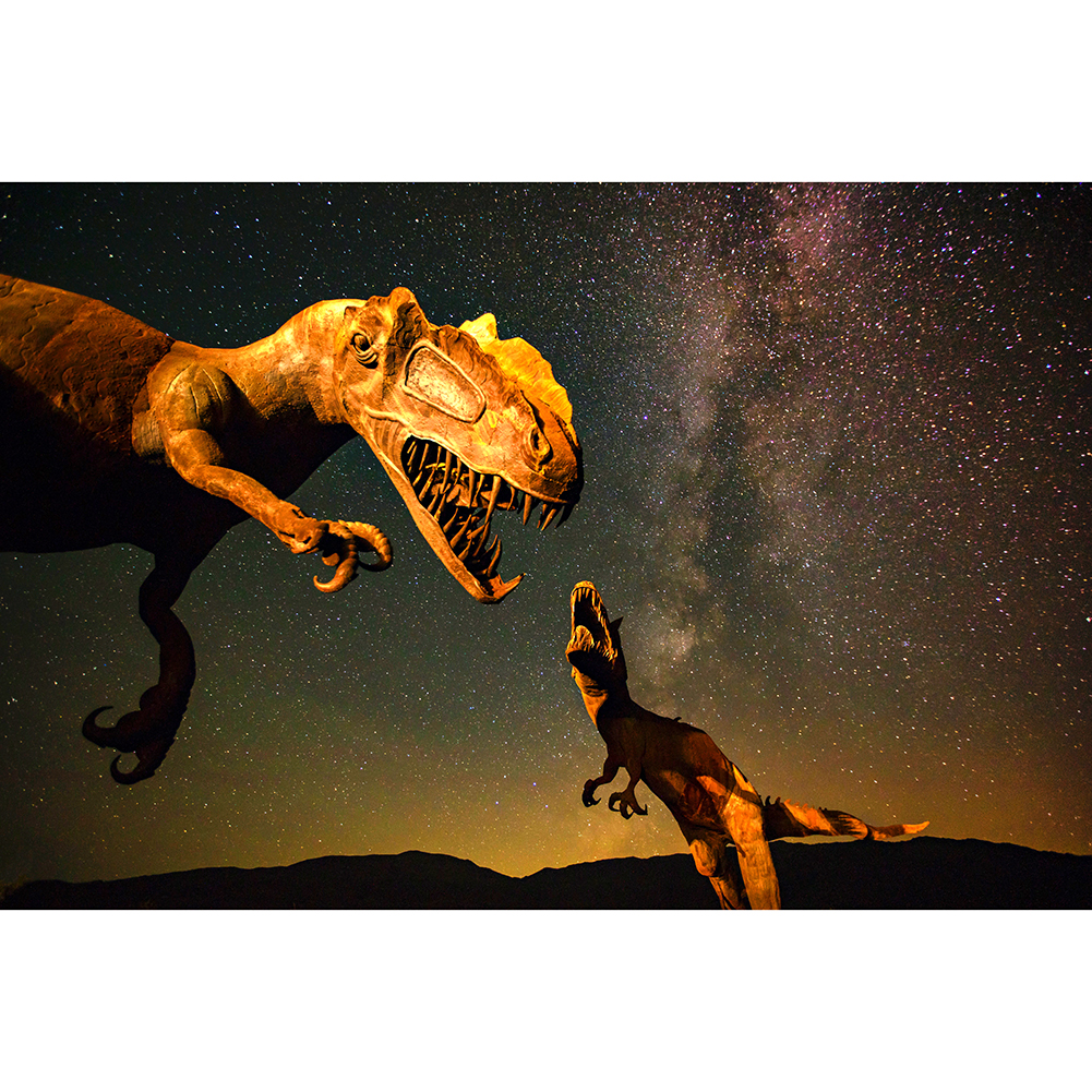 

Dinosaur - 1000 Pieces Jigsaw Puzzle, 501 Original