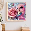 DIY Partial Special Shaped Drill Diamond Painting-Bird