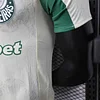 Joyfball 2025/2026 Player Version Palmeiras Away FIFA Club World Cup Football Jersey 1:1 Thai Quality（The player version jersey is a bit tight, please pay attention to the size selection）