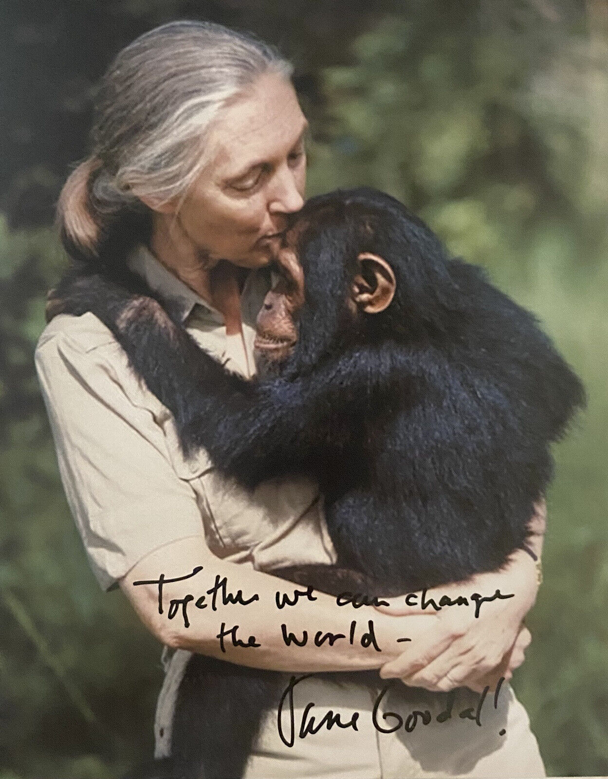 Jane Goodall Signed Autographed 8x10 Color Photo Poster painting