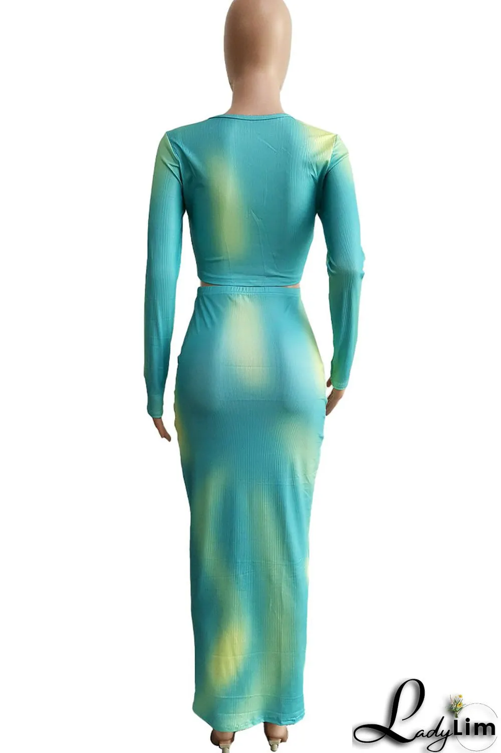 Lake Green Sexy Print Patchwork O Neck Long Sleeve Two Pieces