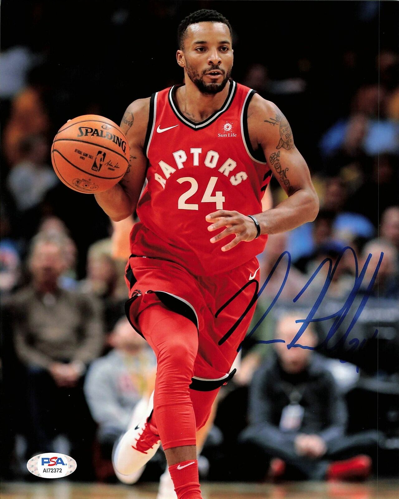 NORMAN POWELL signed 8x10 Photo Poster painting PSA/DNA Toronto Raptors Autographed