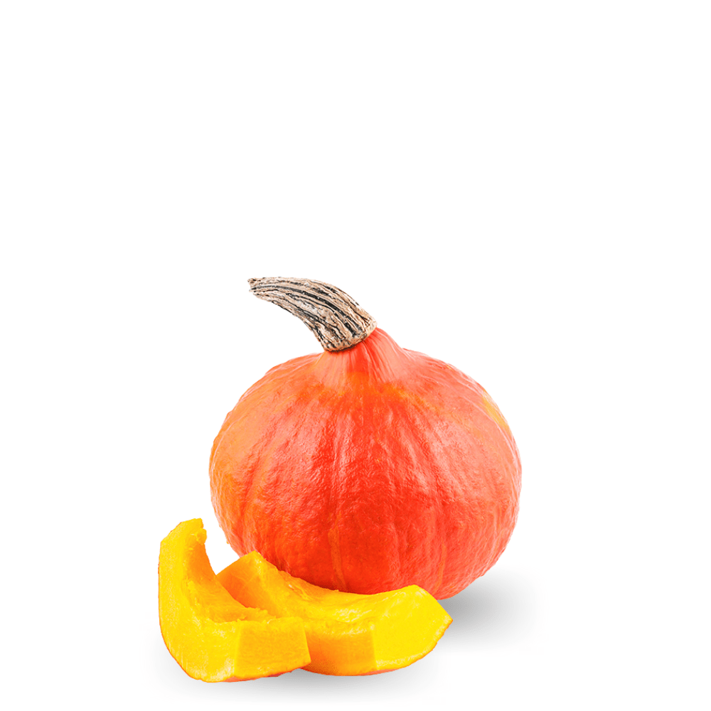 Pumpkin Potimarron Seeds &ndash; Chestnut Flavor & Sweet Orange Flesh