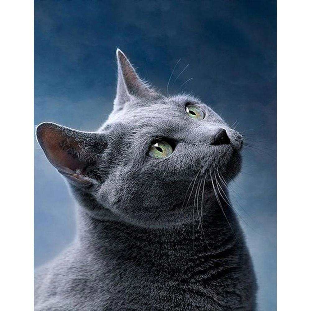 

Grey Cat - Round Drill Diamond Painting - 40*50CM, 501 Original