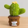 (Finished Product)Crochet Flower Potted Doll with Positive Card Desktop Ornaments, Potted Plants, Bouquets Gift Home Decor