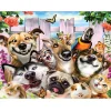 Dog  | Full Round Diamond Painting Kits