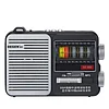 DE808 Multi-functional Portable Radio with Bluetooth, SIM Card, USB Flash Drive, Lighting, and Charging Capabilities