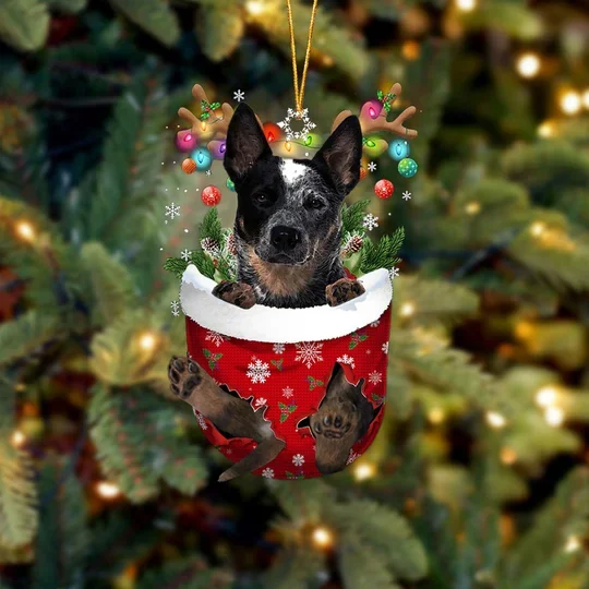 Blue Heeler In Snow Pocket Christmas Ornament trabladzer