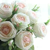 Real Touch Moisture 6.8cm Stem Round Blush Rose Luxe Artificial Flower
