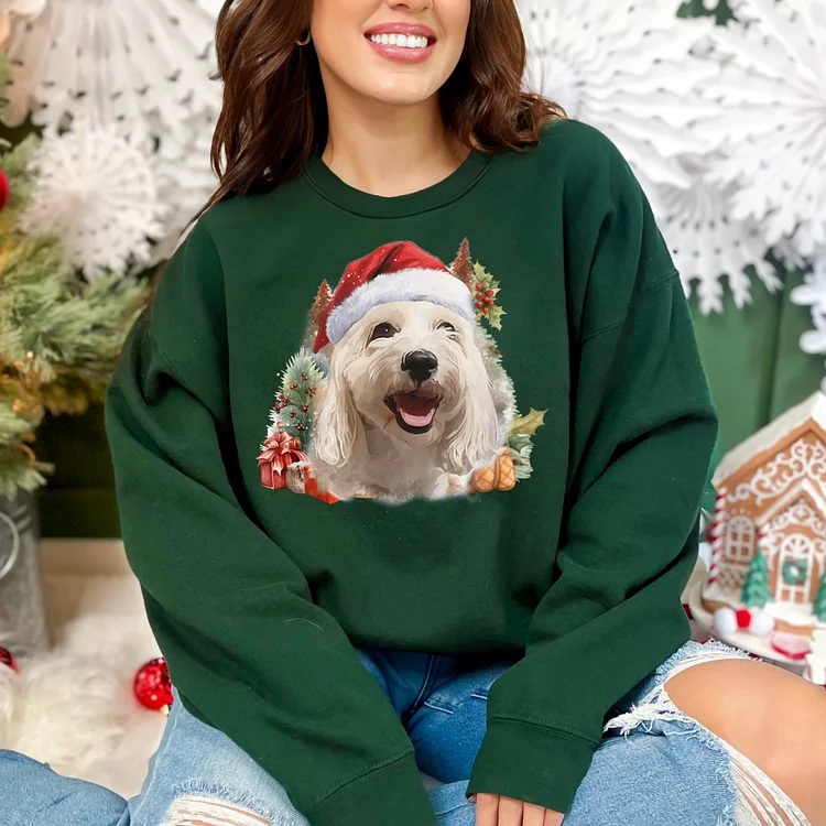 Christmas Custom Pet Santa Personalized Pet Christmas Sweatshirt Hoodie T-shirt for Adults and Kids