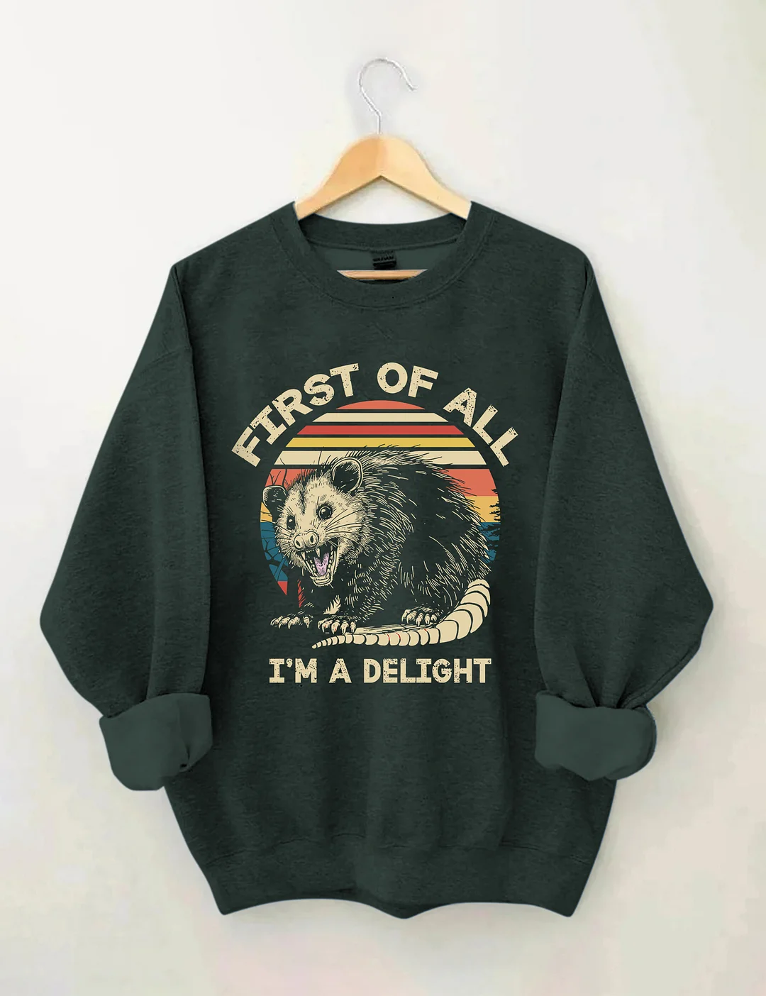 First Of All I'm A Delight Sarcastic Angry Opossum Lover Sweatshirt