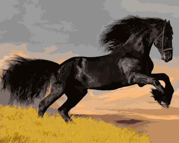 

Black Horse – Paint By Numbers - 40*50CM, 501 Original