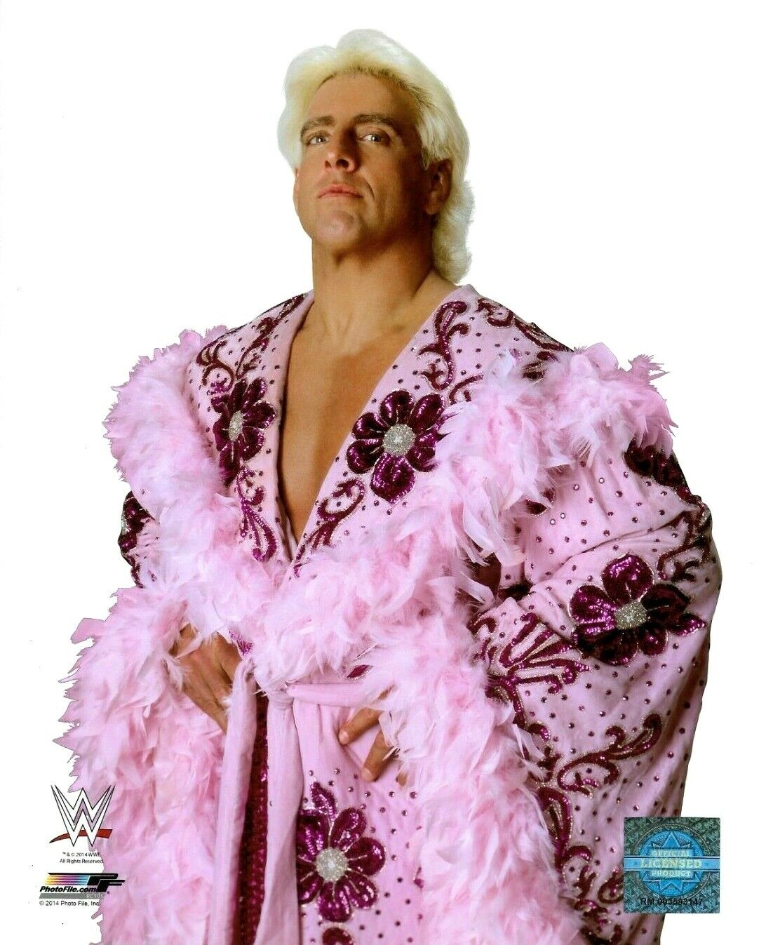 WWE RIC FLAIR OFFICIAL LICENSED ORIGINAL 8X10 WRESTLING Photo Poster painting FILE Photo Poster painting 6