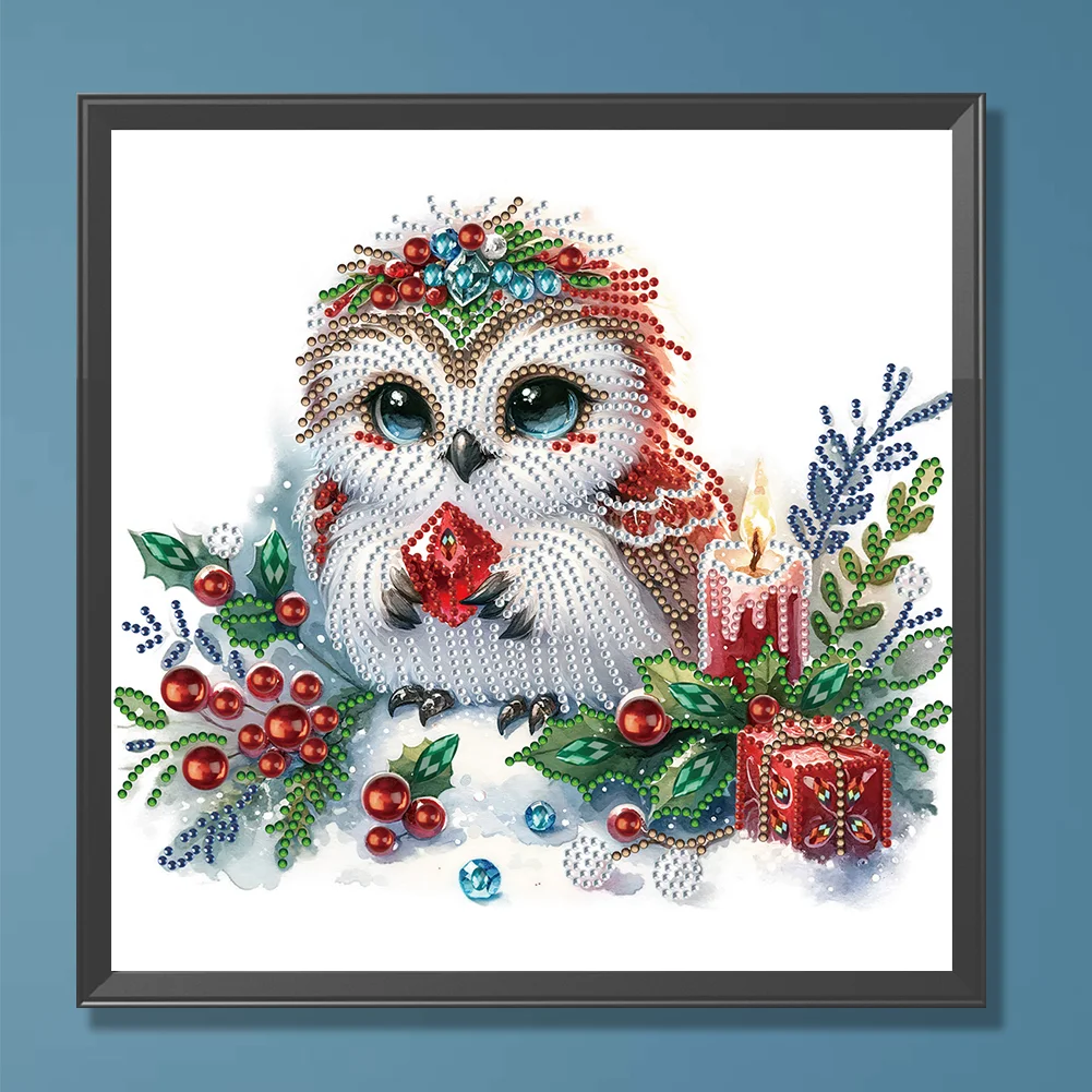Diamond Painting - Partial Special Shaped Drill - Winter Owl(Canvas|30*30cm)