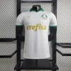2024-2025 Player Palmeiras Away Football Shirt 1:1 Thai Quality