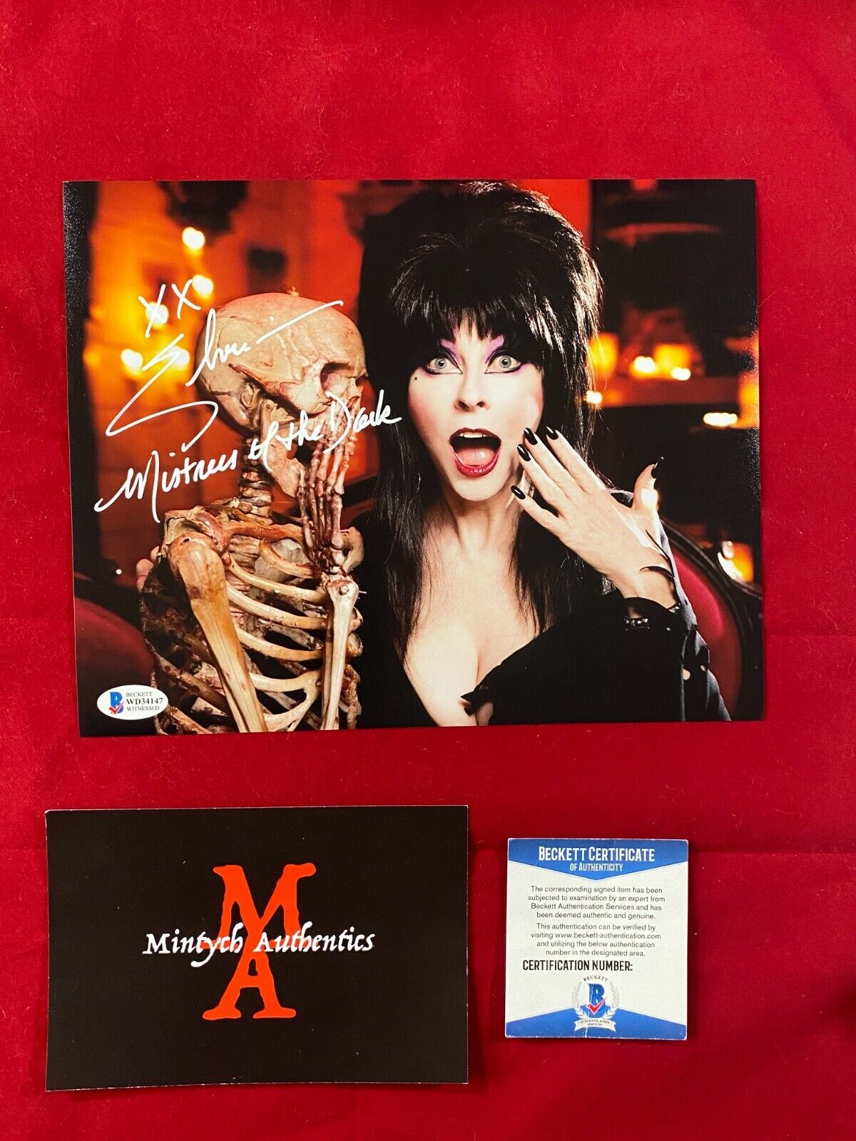 ELVIRA CASSANDRA PETERSON AUTOGRAPHED SIGNED 8x10 Photo Poster painting! BECKETT COA! HORROR!