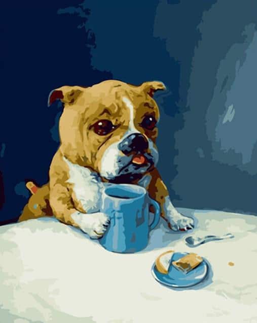 

English Bulldog – Paint By Numbers - 40*50CM, 501 Original