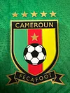 2025/2026 Player Version Cameroon Home Football Shirt 1:1 Thai Quality love fball