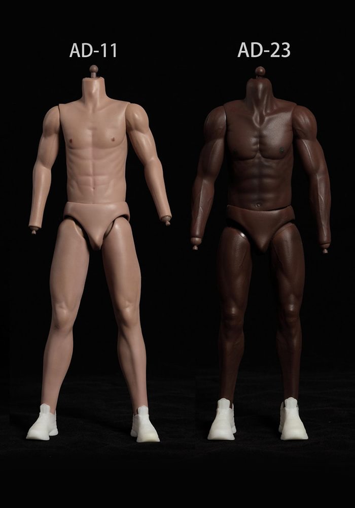 Pre-order 1/6 ADTOYS Tall Seamless Body AD-11 AD-23-shopify