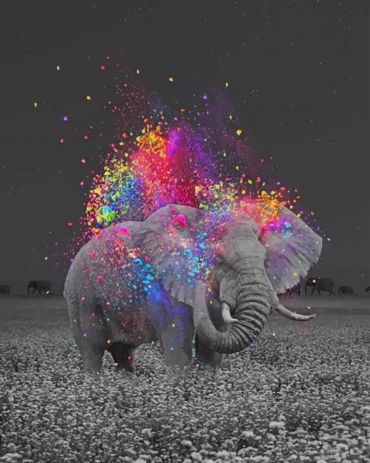

Elephant And Colors – Paint By Numbers - 40*50CM, 501 Original