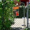 Chicken - Vintage Metal Signs - 20*30cm/30*40cm