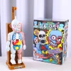 Human body model toys｜Prank medical birthday gifts boys Halloween dolls prank and strange ornaments